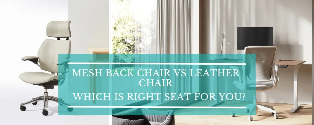 Mesh Back Chair vs Leather Chair: Which is the Right Seat for You?