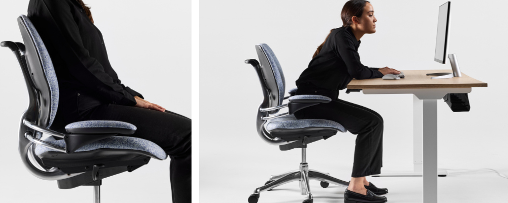 Importance of Good Posture: How Ergo Products Can Help to Maintain It!