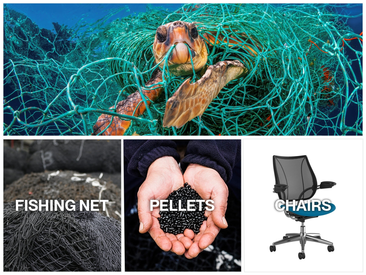 From Ocean to Office