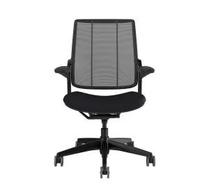 Humanscale Diffrient Smart Chair Black Frame & Cushion Seat, Mesh Backrest -1