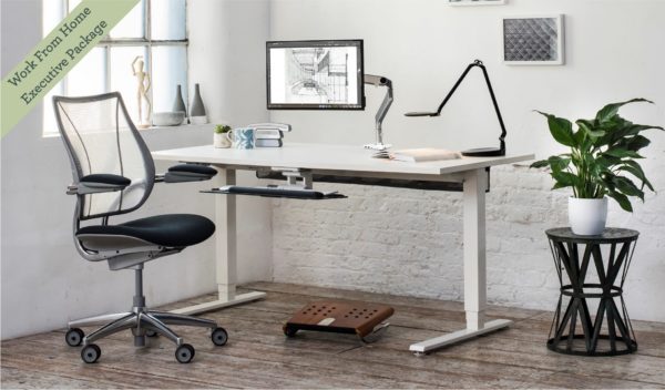 WFH Executive Package: Ergonomic Set-up for Home Office