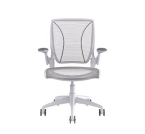 Humanscale Diffrient World Chair White Frame White Mesh