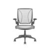 Humanscale Diffrient World Chair | Grey Frame - White Mesh