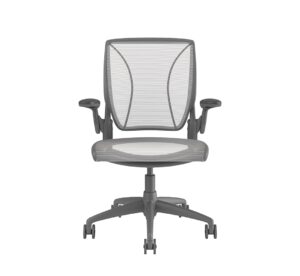 Humanscale Diffrient World Chair | Grey Frame - White Mesh
