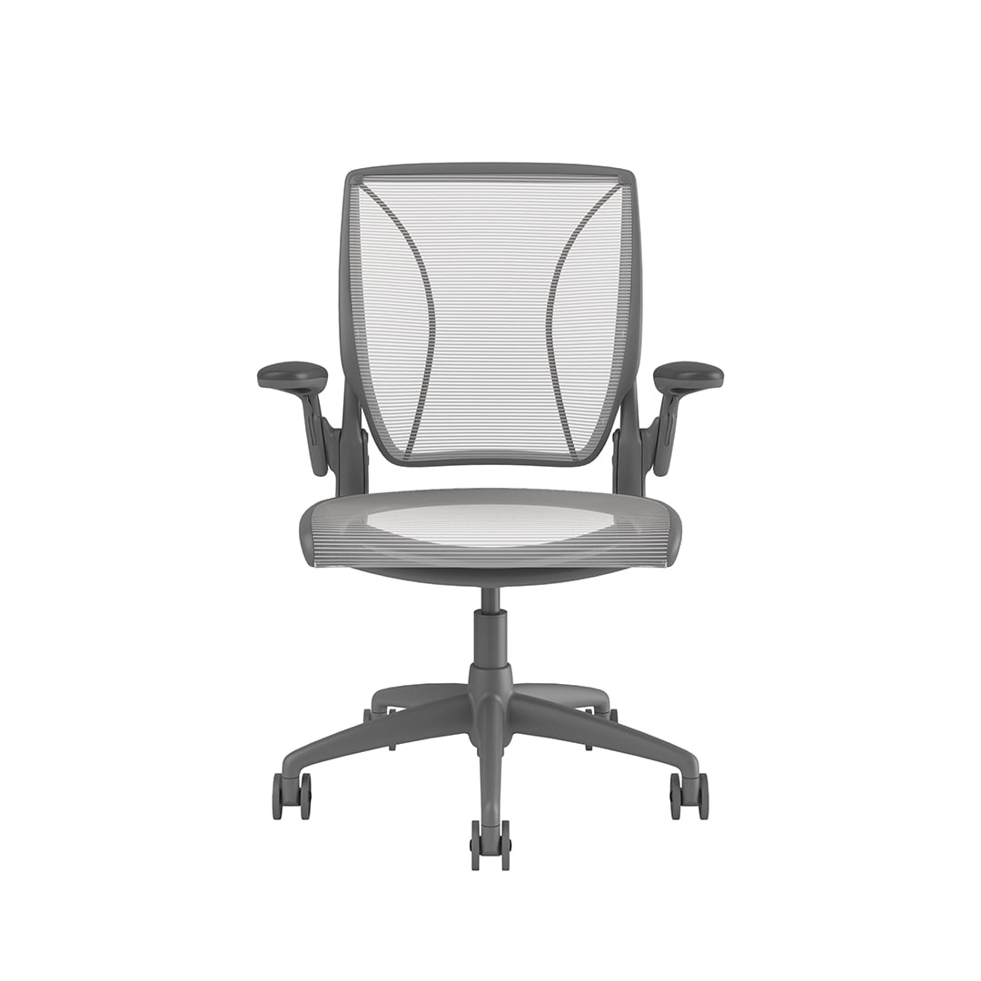 1-min Humanscale Diffrient World Chair | Grey Frame - White Mesh