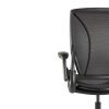 Ergonomic Humanscale World One Chair