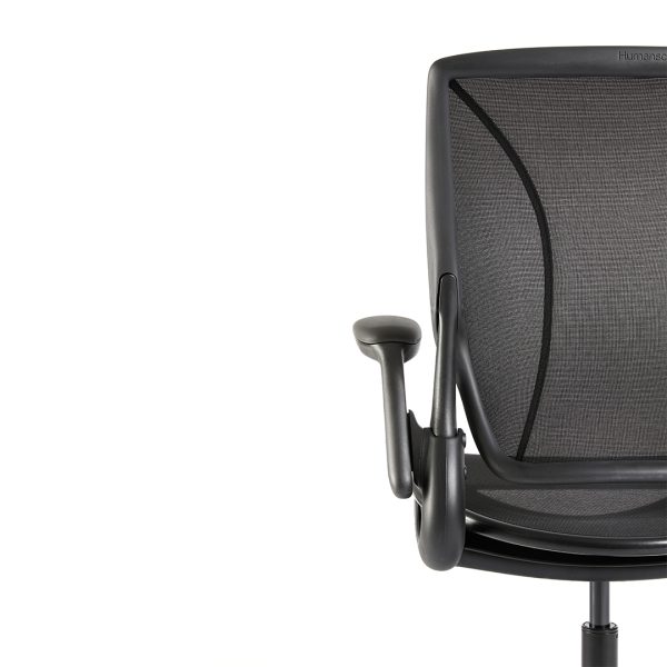 Ergonomic Humanscale World One Chair