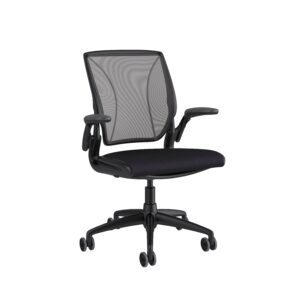 Humanscale Diffrient World Chair - Black Humanscale Diffrient World Chair - Black
