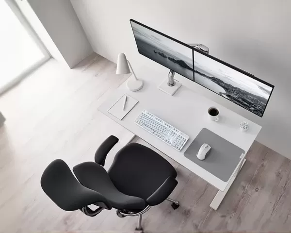 Are Ergonomic Products Worth the Investment, Despite Being Relatively Expensive?